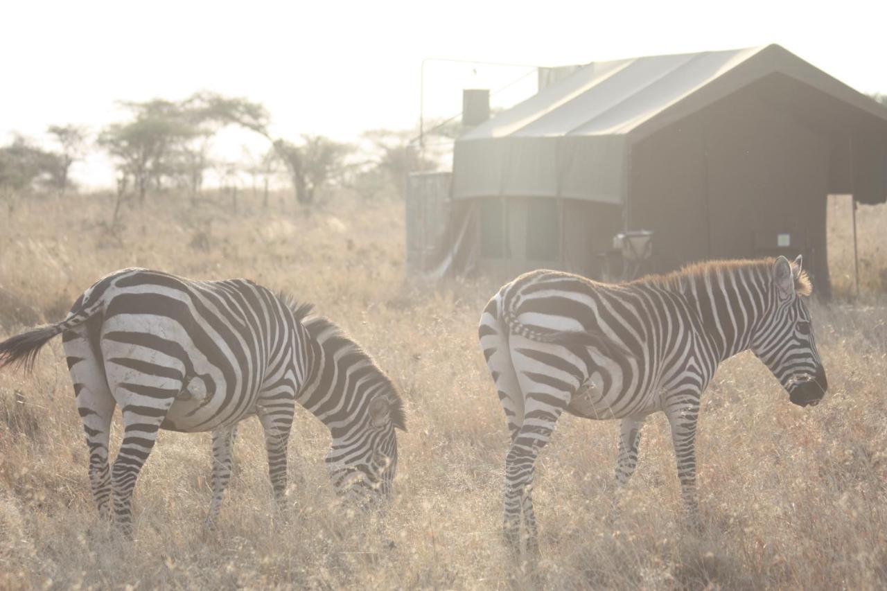 Kananga Special Tented Camp Banagi Esterno foto